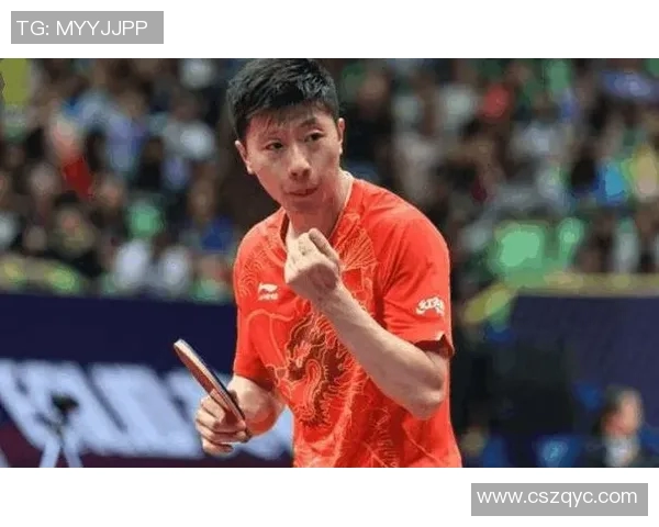 南京乒乓球队总决赛战术分析与表现评估全面解读