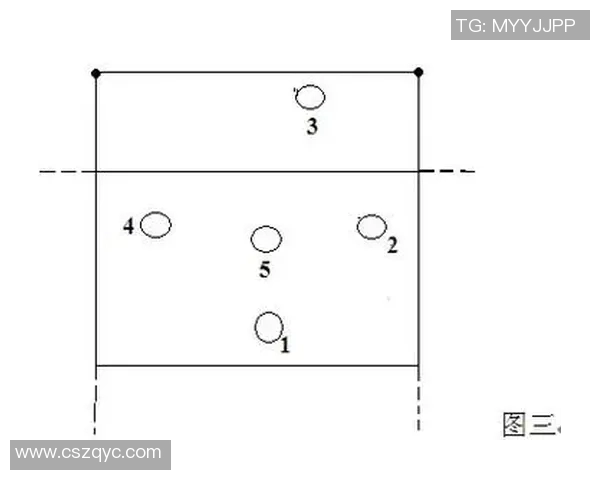 排球新手必看:从基础到战术的全面入门指南与技巧分享