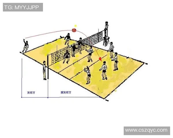成都排球队的战术变革与技术提升深度解析