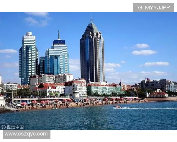 权威发布：全球排球速度实力排行榜揭晓引发热议