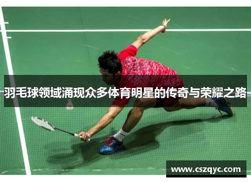 羽毛球领域涌现众多体育明星的传奇与荣耀之路