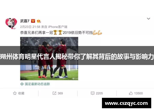 朔州体育明星代言人揭秘带你了解其背后的故事与影响力