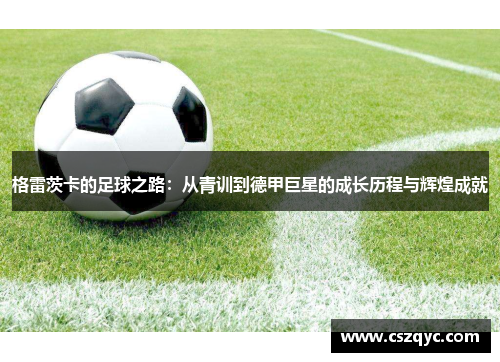 格雷茨卡的足球之路：从青训到德甲巨星的成长历程与辉煌成就